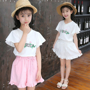 Baby Girls' Clothing 2018 Summer Kids Children Sets New Suit Girl Cotton Short Sleeve + Shorts Leisure Embroidered Two Piece Set