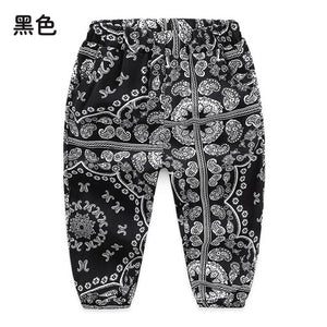 Baby Knickerbockers 2019 Summer Korean Version Anti-mosquito Pants New Boys' Clothing Children's Pants  Elastic Waist