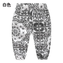 Load image into Gallery viewer, Baby Knickerbockers 2019 Summer Korean Version Anti-mosquito Pants New Boys&#39; Clothing Children&#39;s Pants  Elastic Waist